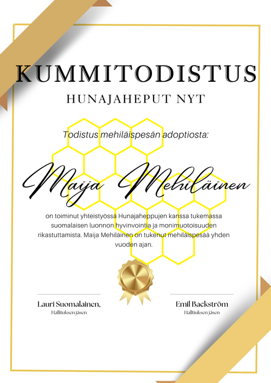 Kummipesä YKSI VUOSI